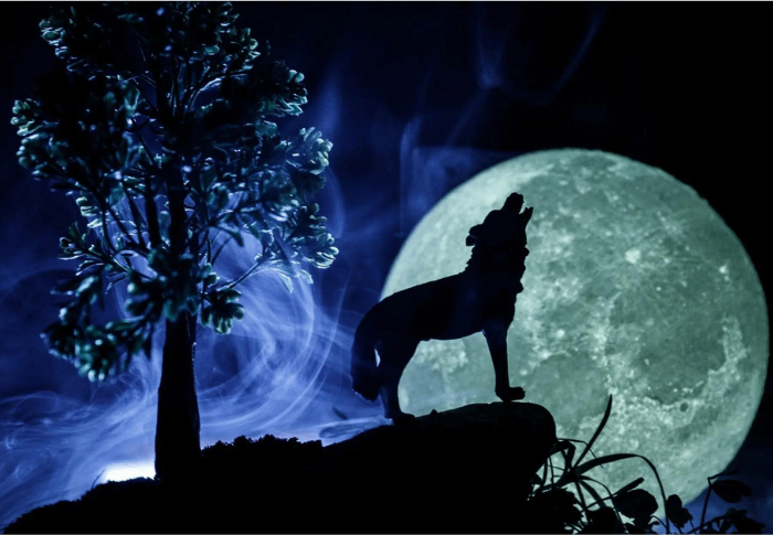 Lone Wolf B2B marketeer – Gebruik je data als goudmijn