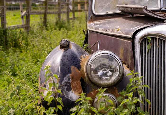Hou je merk springlevend (en onvergetelijk)